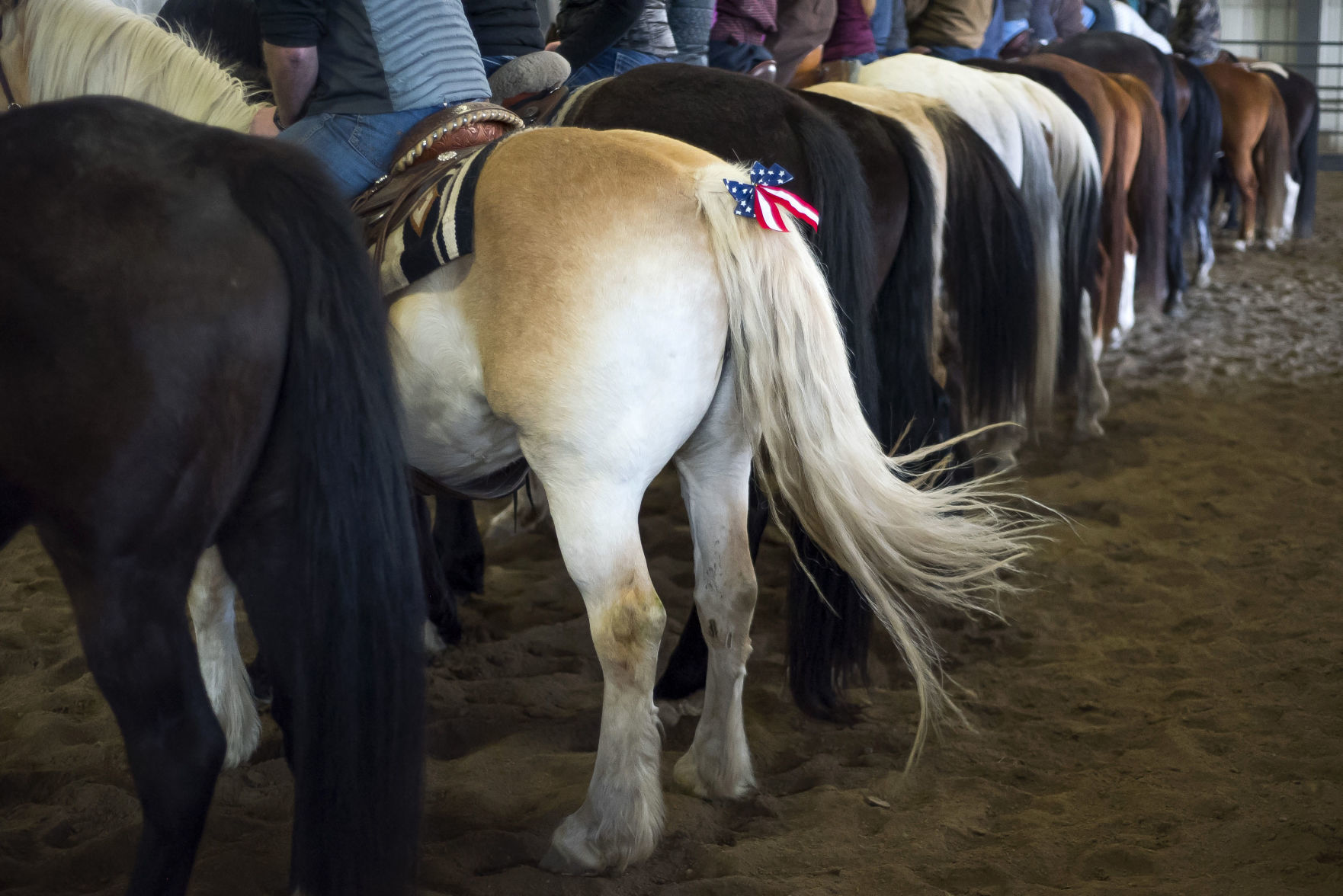 Jackson Police Department Citizens Mounted Unit